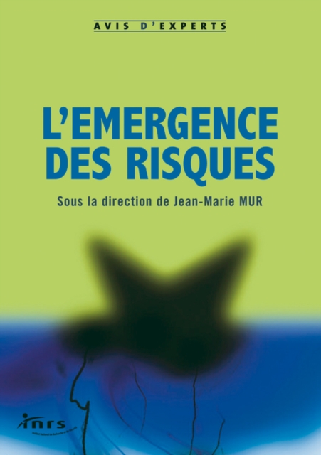 L'émergence des risques