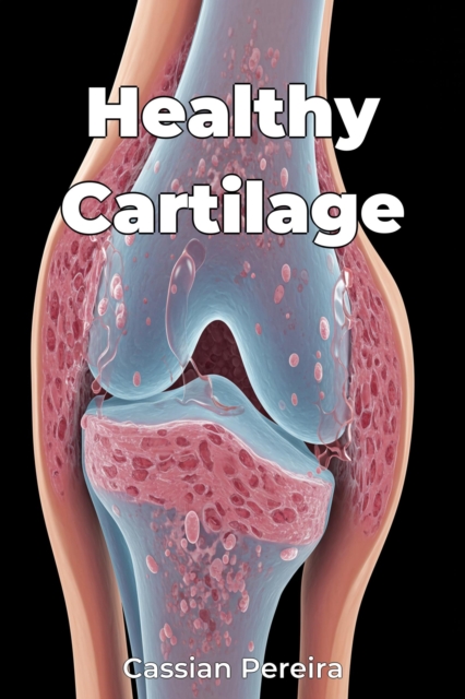 Healthy Cartilage