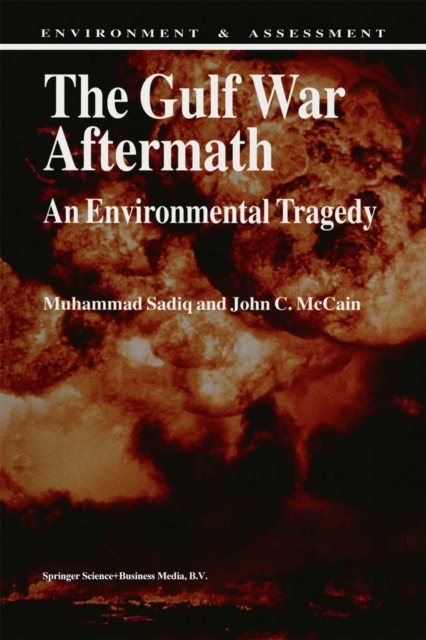 Gulf War Aftermath