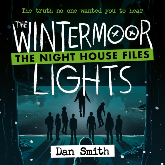 Wintermoor Lights
