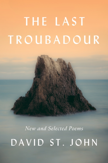 Last Troubadour