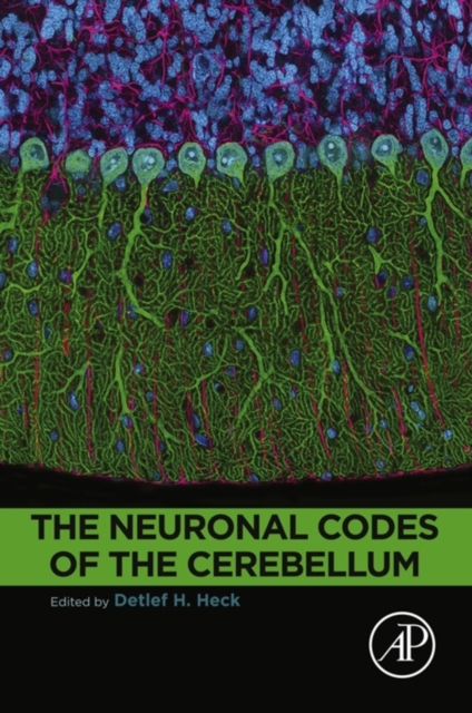 Neuronal Codes of the Cerebellum