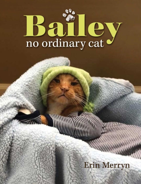 Bailey, No Ordinary Cat