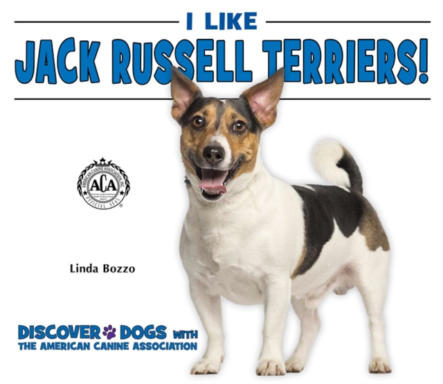 I Like Jack Russell Terriers!