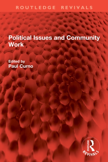 Political Issues and Community Work