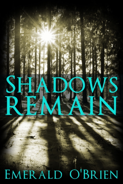 Shadows Remain
