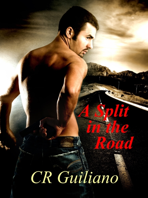 Split in the Road, Book 3 of Vampire Wars