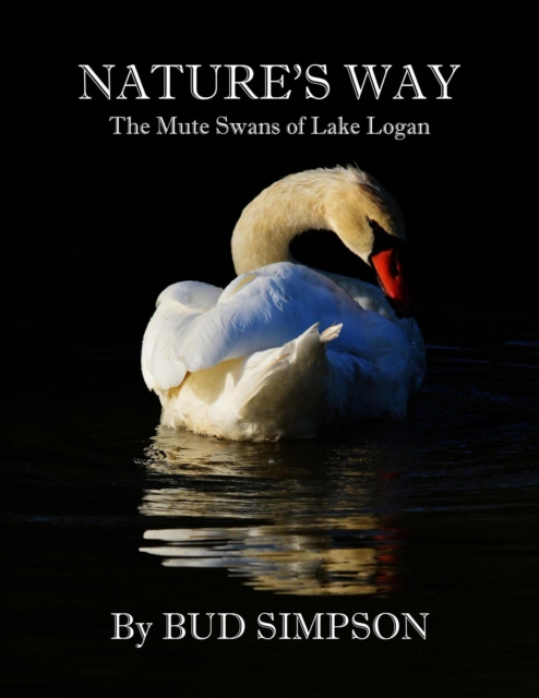 Nature's Way: The Mute Swans of Lake Logan, Ohio