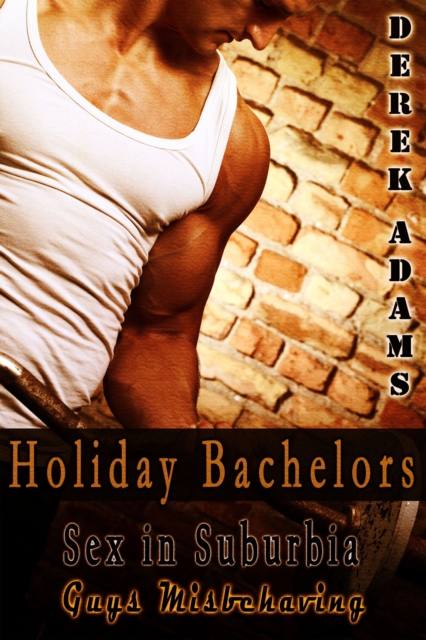 Holiday Bachelors