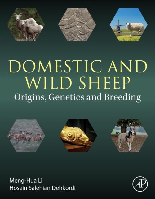 Domestic and Wild Sheep