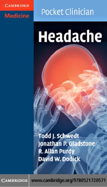 Language, Usage and Cognition