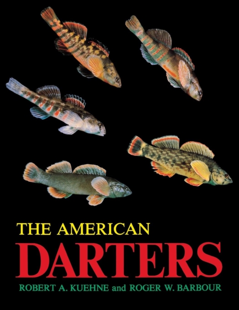 American Darters