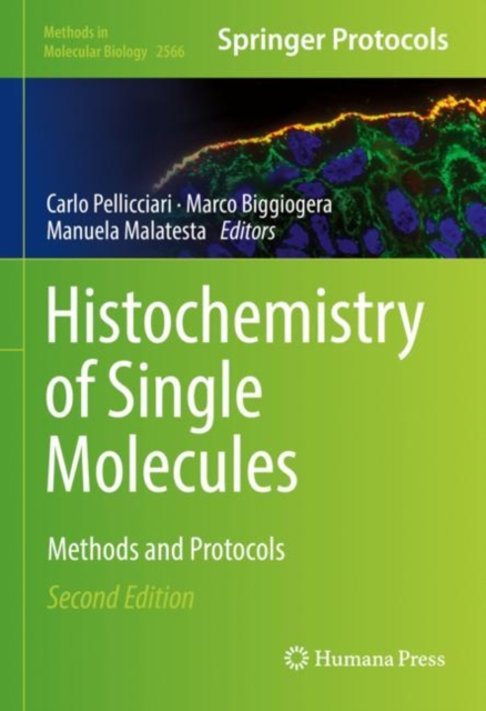 Histochemistry of Single Molecules