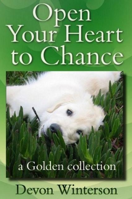 Open Your Heart to Chance: a Golden collection