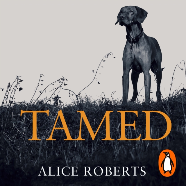 Tamed
