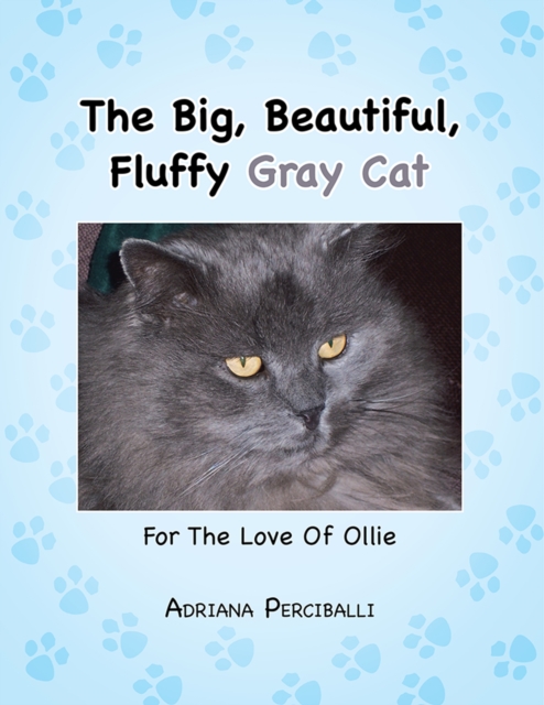 Big, Beautiful, Fluffy Gray Cat