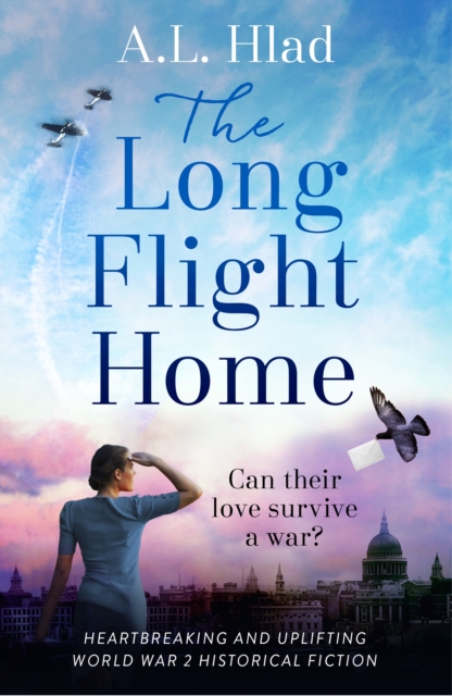 Long Flight Home