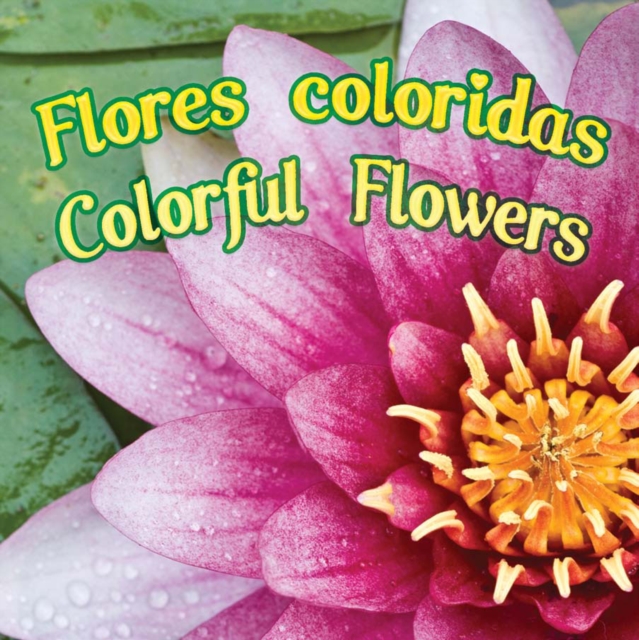 Flores coloridas
