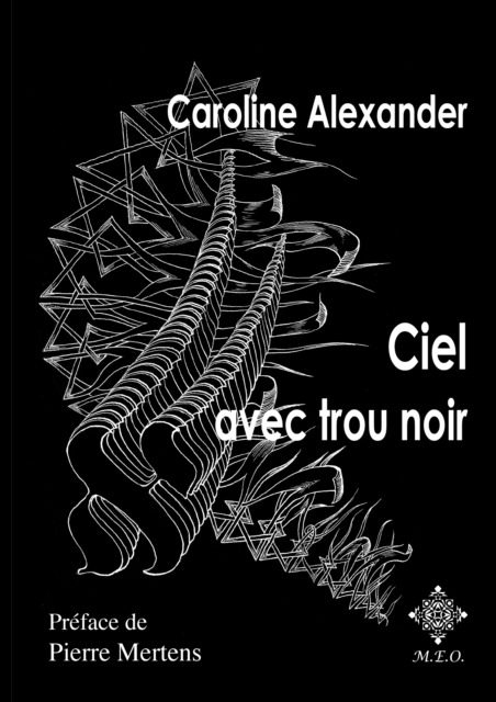 Ciel avec trou noir