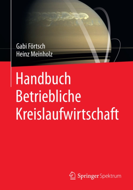 Die Regierung des Konsums