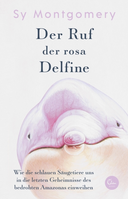 Umwege sind auch Wege