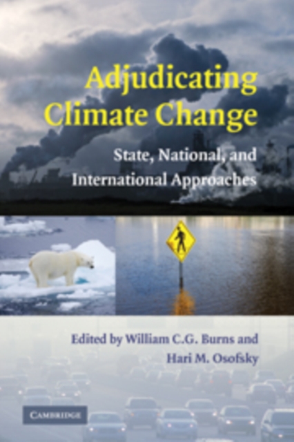 Adjudicating Climate Change