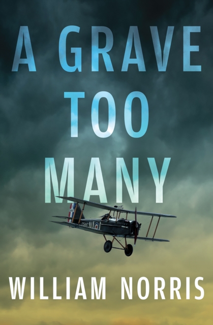 Grave Too Many