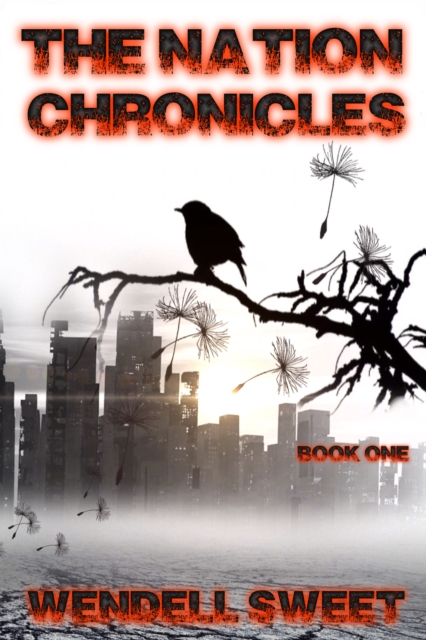 Nation Chronicles Book One