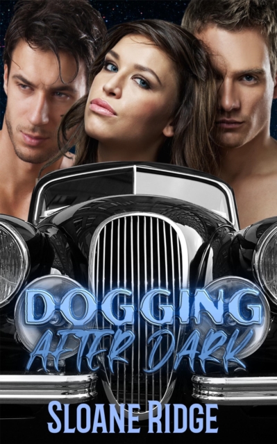 Dogging after Dark