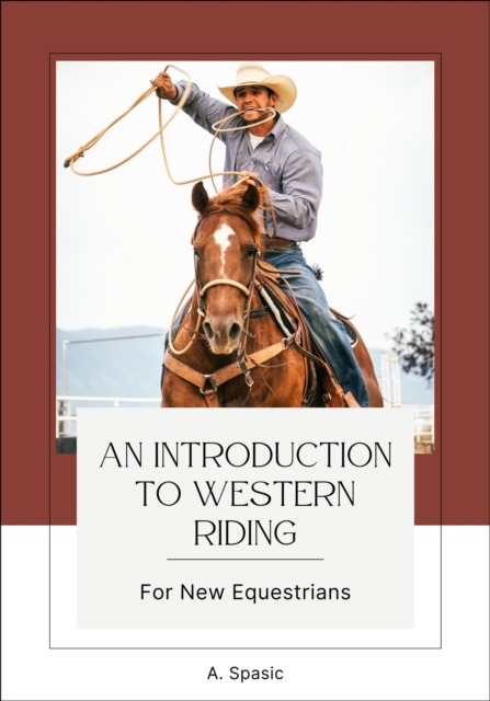 Introduction to Western Riding for New Equestrians