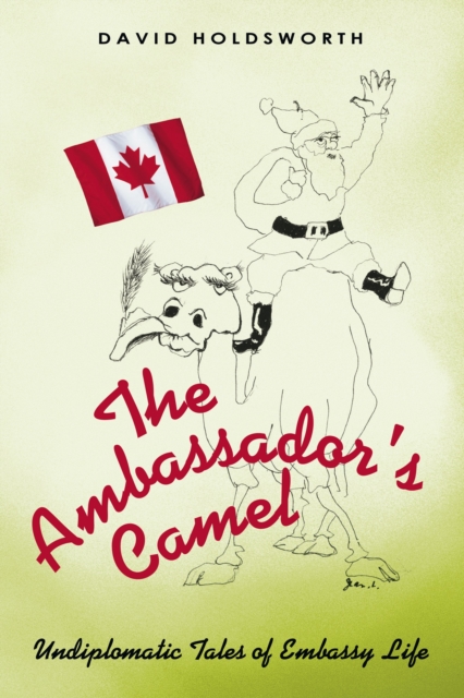 Ambassador'S Camel