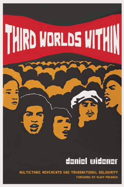 Third Worlds Within