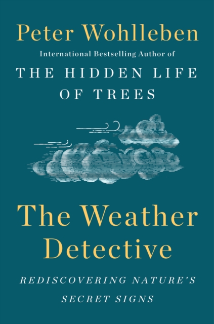 Weather Detective