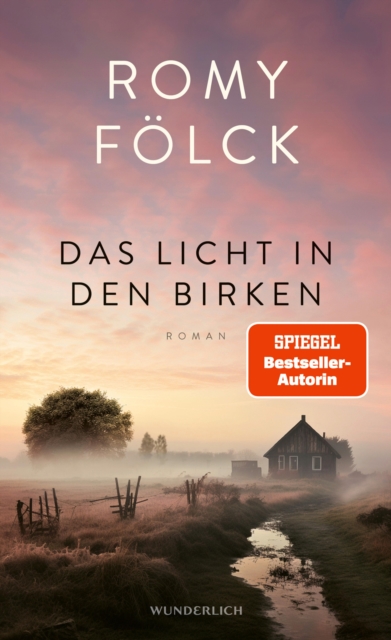 Das Licht in den Birken