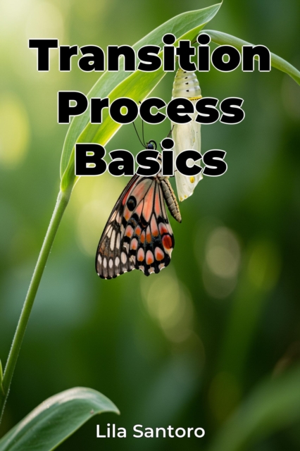 Transition Process Basics