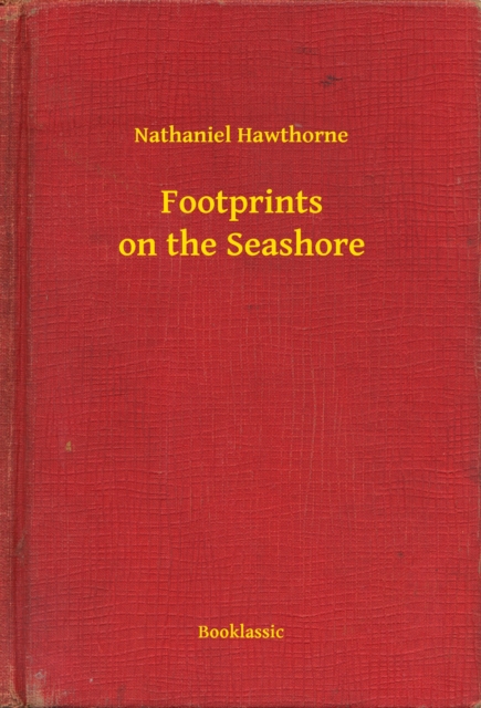 Footprints on the Seashore