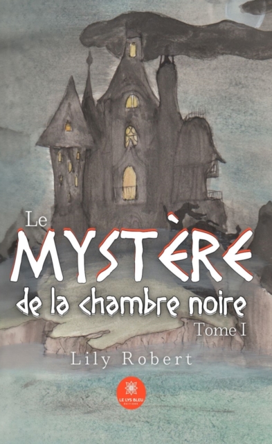 Le mystere de la chambre noire - Tome 1