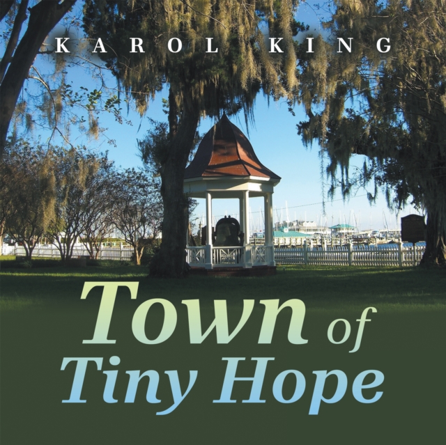 Town of Tiny Hope