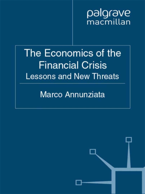 Economics of the Financial Crisis