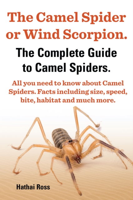 Camel Spider or Wind Scorpion. The Complete Guide to Camel Spiders. All You Need to Know About Camel Spiders. Facts Including Size, Speed, Bite and Habitat.