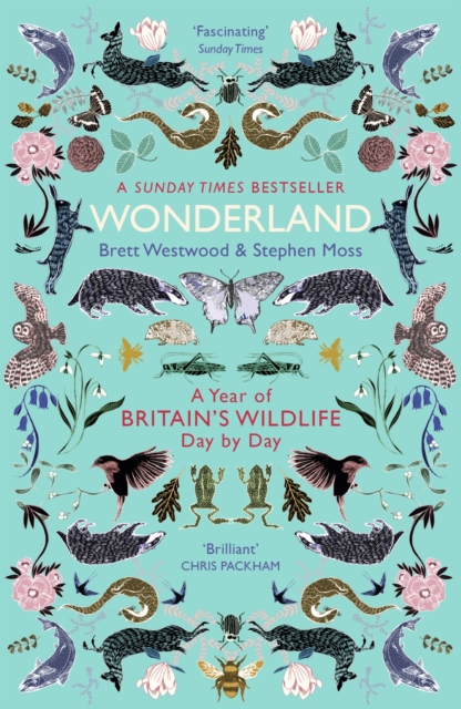 Wonderland