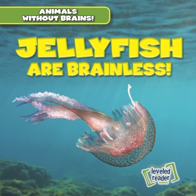 Jellyfish Are Brainless!