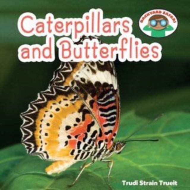 Caterpillars and Butterflies