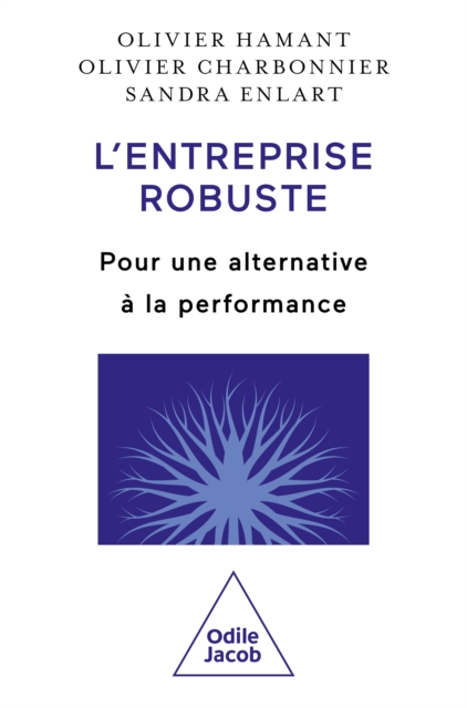 L' Entreprise robuste