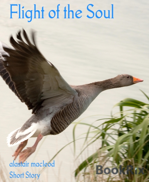 Flight of the Soul