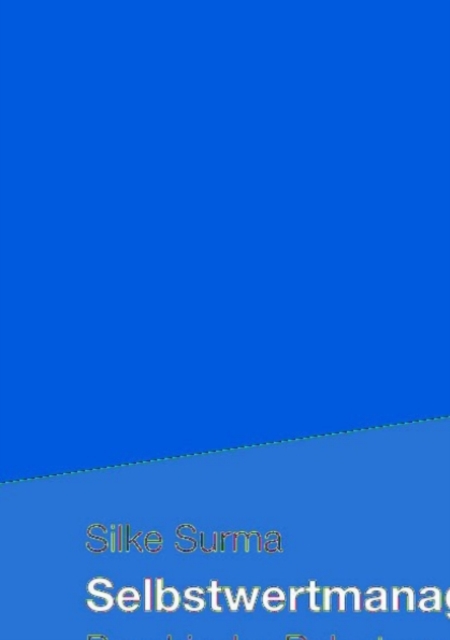 Selbstwertmanagement
