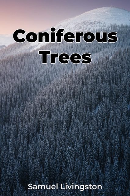 Coniferous Trees