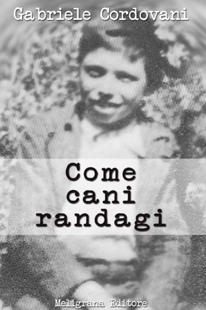 Come cani randagi