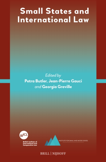 Small States and International Law