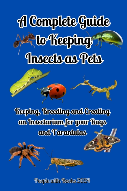 Complete Guide to Keeping Insects as Pets